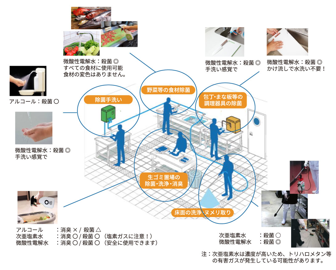 活用方法